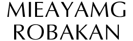 cstoys international logo